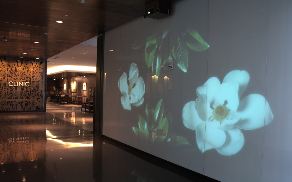 University Medical Center commissions interactive video installations