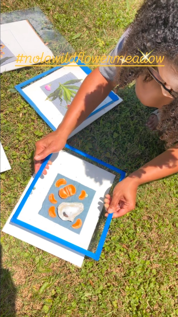 Today at the #nolawildflowermeadow we did a little thinning out and made some fabric sunprints (aka cyanotypes) with meadow plants, and other objects found on site.
And we listened to a fab water-related playlist!
Thanks to those who joined in and dm me if you want me to send you some photos - ❤️
.
.
@civicstudio.coop @waterleadersinstitute @nolamosquito #nativeplants #cyanotype #sunprint #funwithplants